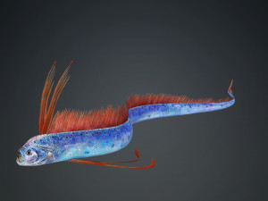 DOWNLOAD HAIRTAIL DOWNLOAD FISH DINOSAUR DINOSAUR HAIRTAIL FISH 3D MODEL ANIMATED - HAIRTAIL Model 3D