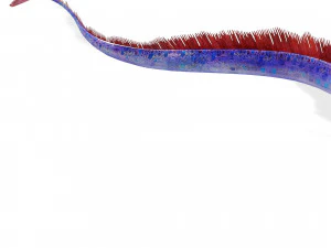 SCARICA CODA DI CAPELLI SCARICA DINOSAURO PESCE DINOSAURO CODA DI CAPELLI PESCE MODELLO 3D ANIMATO - CODA DI CAPELLI Modello 3D