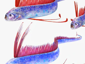 SCARICA CODA DI CAPELLI SCARICA DINOSAURO PESCE DINOSAURO CODA DI CAPELLI PESCE MODELLO 3D ANIMATO - CODA DI CAPELLI Modello 3D