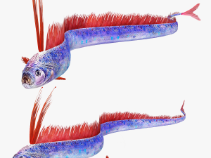 DOWNLOAD HAIRTAIL DOWNLOAD FISH DINOSAUR DINOSAUR HAIRTAIL FISH 3D MODEL ANIMATED - HAIRTAIL Model 3D