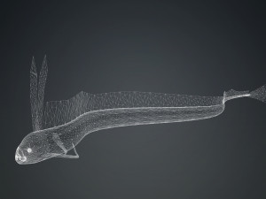 DOWNLOAD HAIRTAIL DOWNLOAD FISH DINOSAUR DINOSAUR HAIRTAIL FISH 3D MODEL ANIMATED - HAIRTAIL Model 3D