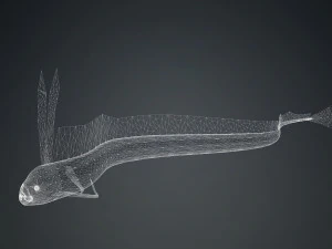 SCARICA CODA DI CAPELLI SCARICA DINOSAURO PESCE DINOSAURO CODA DI CAPELLI PESCE MODELLO 3D ANIMATO - CODA DI CAPELLI Modello 3D