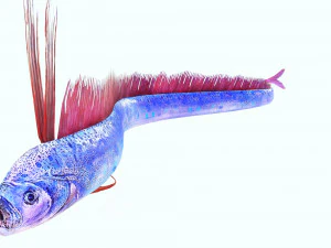 SCARICA CODA DI CAPELLI SCARICA DINOSAURO PESCE DINOSAURO CODA DI CAPELLI PESCE MODELLO 3D ANIMATO - CODA DI CAPELLI Modello 3D