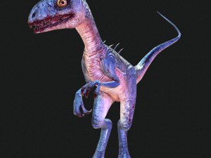 DOWNLOAD RAPTOR 3D MODEL RAPTOR ANIMATED - RAPTOR RAPTOR DINOSAUR DINOSAUR 3D DINOSAUR RAPTOR Model 3D