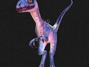 DOWNLOAD RAPTOR 3D MODEL RAPTOR ANIMATED - RAPTOR RAPTOR DINOSAUR DINOSAUR 3D DINOSAUR RAPTOR Model 3D