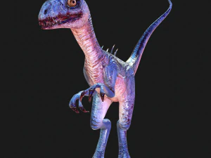 SCARICA RAPTOR MODELLO 3D RAPTOR ANIMATO - RAPTOR RAPTOR DINOSAURO DINOSAURO 3D DINOSAURO RAPTOR Modello 3D