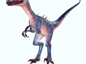 DOWNLOAD RAPTOR 3D MODEL RAPTOR ANIMATED - RAPTOR RAPTOR DINOSAUR DINOSAUR 3D DINOSAUR RAPTOR Model 3D