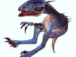 DOWNLOAD RAPTOR 3D MODEL RAPTOR ANIMATED - RAPTOR RAPTOR DINOSAUR DINOSAUR 3D DINOSAUR RAPTOR Model 3D