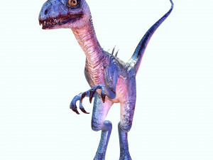 DOWNLOAD RAPTOR 3D MODEL RAPTOR ANIMATED - RAPTOR RAPTOR DINOSAUR DINOSAUR 3D DINOSAUR RAPTOR Model 3D