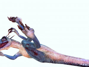 DOWNLOAD RAPTOR 3D MODEL RAPTOR ANIMATED - RAPTOR RAPTOR DINOSAUR DINOSAUR 3D DINOSAUR RAPTOR Model 3D