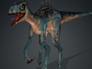DOWNLOAD RAPTOR 3D MODEL RAPTOR ANIMATED - RAPTOR RAPTOR DINOSAUR DINOSAUR 3D DINOSAUR RAPTOR Model 3D