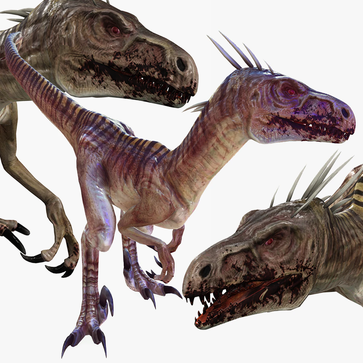 DESCARGAR RAPTOR MODELO 3D ANIMADO - RAPTOR VELOCIRAPTOR DINOSAURIO DINOSAURIO Modelo 3D .c4d .max .obj .3ds .fbx .stl .blend 