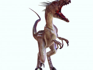 DOWNLOAD RAPTOR 3D MODEL ANIMATED - RAPTOR VELOCIRAPTOR DINOSAUR DINOSAUR 3D Модель