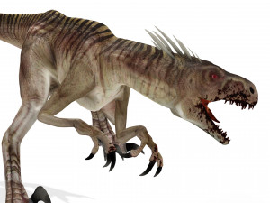 DOWNLOAD RAPTOR 3D MODEL ANIMATED - RAPTOR VELOCIRAPTOR DINOSAUR DINOSAUR 3D Модель