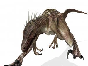 DESCARGAR RAPTOR MODELO 3D ANIMADO - RAPTOR VELOCIRAPTOR DINOSAURIO DINOSAURIO Modelo 3D