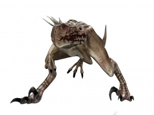 DOWNLOAD RAPTOR 3D MODEL ANIMATED - RAPTOR VELOCIRAPTOR DINOSAUR DINOSAUR 3D Модель