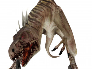 DOWNLOAD RAPTOR 3D MODEL ANIMATED - RAPTOR VELOCIRAPTOR DINOSAUR DINOSAUR 3D Модель