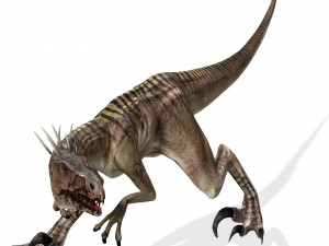 DOWNLOAD RAPTOR 3D MODEL ANIMATED - RAPTOR VELOCIRAPTOR DINOSAUR DINOSAUR 3D Модель