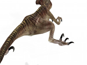 DOWNLOAD RAPTOR 3D MODEL ANIMATED - RAPTOR VELOCIRAPTOR DINOSAUR DINOSAUR 3D Модель