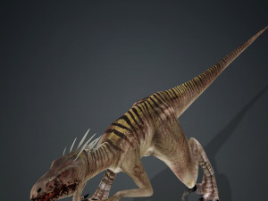 DOWNLOAD RAPTOR 3D MODEL ANIMATED - RAPTOR VELOCIRAPTOR DINOSAUR DINOSAUR 3D Модель