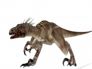 DOWNLOAD RAPTOR 3D MODEL ANIMATED - RAPTOR VELOCIRAPTOR DINOSAUR DINOSAUR 3D Модель