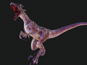 DOWNLOAD RAPTOR 3D MODEL ANIMATED - RAPTOR VELOCIRAPTOR DINOSAUR DINOSAUR 3D Модель
