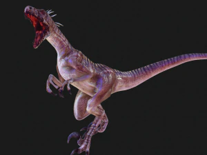 DESCARGAR RAPTOR MODELO 3D ANIMADO - RAPTOR VELOCIRAPTOR DINOSAURIO DINOSAURIO Modelo 3D
