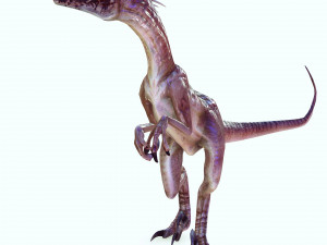 DOWNLOAD RAPTOR 3D MODEL ANIMATED - RAPTOR VELOCIRAPTOR DINOSAUR DINOSAUR 3D Модель