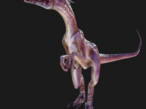 DESCARGAR RAPTOR MODELO 3D ANIMADO - RAPTOR VELOCIRAPTOR DINOSAURIO DINOSAURIO Modelo 3D