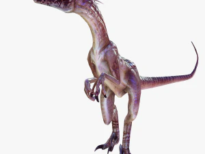DESCARGAR RAPTOR MODELO 3D ANIMADO - RAPTOR VELOCIRAPTOR DINOSAURIO DINOSAURIO Modelo 3D