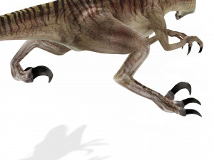 DOWNLOAD RAPTOR 3D MODEL ANIMATED - RAPTOR VELOCIRAPTOR DINOSAUR DINOSAUR 3D Модель