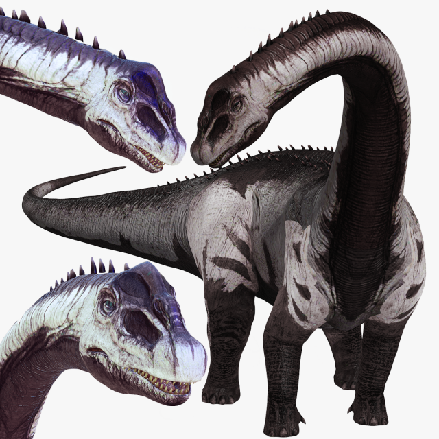 DINOSAUR DOWNLOAD SAUROPOD DINOSAUR SAUROPOD 3D MODEL SAUROPOD SAUROPOD DINOSAUR DINOSAUR 3D Model .c4d .max .obj .3ds .fbx .stl .blend 