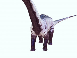 DINOSAUR DOWNLOAD SAUROPOD DINOSAUR SAUROPOD 3D MODEL SAUROPOD SAUROPOD DINOSAUR DINOSAUR 3D Model