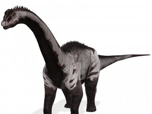 DINOSAURO SCARICA SAUROPOD DINOSAURO SAUROPOD MODELLO 3D SAUROPOD SAUROPOD DINOSAURO DINOSAURO Modello 3D