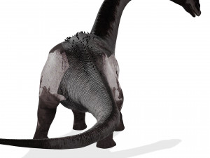 DINOSAUR DOWNLOAD SAUROPOD DINOSAUR SAUROPOD 3D MODEL SAUROPOD SAUROPOD DINOSAUR DINOSAUR 3D Model