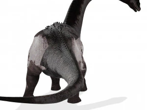 DINOSAURO SCARICA SAUROPOD DINOSAURO SAUROPOD MODELLO 3D SAUROPOD SAUROPOD DINOSAURO DINOSAURO Modello 3D