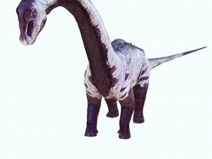 DINOSAUR DOWNLOAD SAUROPOD DINOSAUR SAUROPOD 3D MODEL SAUROPOD SAUROPOD DINOSAUR DINOSAUR 3D Model