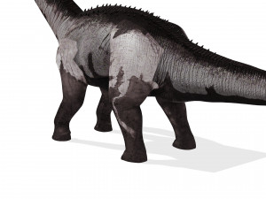 DINOSAUR DOWNLOAD SAUROPOD DINOSAUR SAUROPOD 3D MODEL SAUROPOD SAUROPOD DINOSAUR DINOSAUR 3D Model