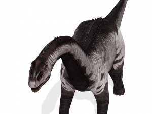 DINOSAUR DOWNLOAD SAUROPOD DINOSAUR SAUROPOD 3D MODEL SAUROPOD SAUROPOD DINOSAUR DINOSAUR 3D Model