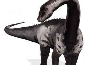 DINOSAUR DOWNLOAD SAUROPOD DINOSAUR SAUROPOD 3D MODEL SAUROPOD SAUROPOD DINOSAUR DINOSAUR 3D Model
