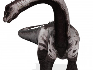 DINOSAUR DOWNLOAD SAUROPOD DINOSAUR SAUROPOD 3D MODEL SAUROPOD SAUROPOD DINOSAUR DINOSAUR 3D Model