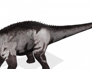 DINOSAUR DOWNLOAD SAUROPOD DINOSAUR SAUROPOD 3D MODEL SAUROPOD SAUROPOD DINOSAUR DINOSAUR 3D Model