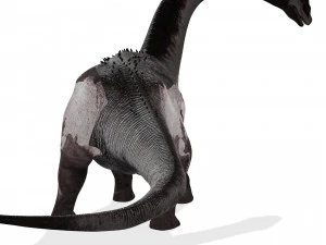 DINOSAURO SCARICA SAUROPOD DINOSAURO SAUROPOD MODELLO 3D SAUROPOD SAUROPOD DINOSAURO DINOSAURO Modello 3D