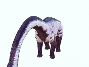 DINOSAUR DOWNLOAD SAUROPOD DINOSAUR SAUROPOD 3D MODEL SAUROPOD SAUROPOD DINOSAUR DINOSAUR 3D Model
