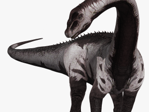 DINOSAUR DOWNLOAD SAUROPOD DINOSAUR SAUROPOD 3D MODEL SAUROPOD SAUROPOD DINOSAUR DINOSAUR 3D Model