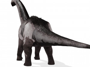 DINOSAUR DOWNLOAD SAUROPOD DINOSAUR SAUROPOD 3D MODEL SAUROPOD SAUROPOD DINOSAUR DINOSAUR 3D Model