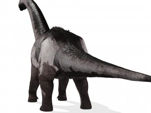 DINOSAURO SCARICA SAUROPOD DINOSAURO SAUROPOD MODELLO 3D SAUROPOD SAUROPOD DINOSAURO DINOSAURO Modello 3D