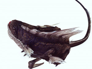 DINOSAUR RAPTOR DINOSAUR RAPTOR 3D MODEL EVIL MONSTER ANIMATED RAPTOR RAPTOR DINOSAUR DINOSAUR 3D Model