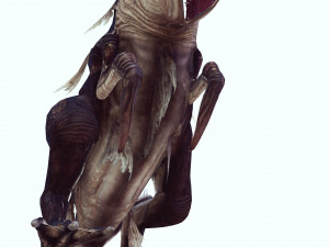 DINOSAUR RAPTOR DINOSAUR RAPTOR 3D MODEL EVIL MONSTER ANIMATED RAPTOR RAPTOR DINOSAUR DINOSAUR 3D Model