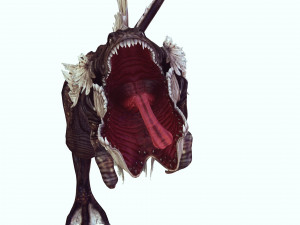 DINOSAUR RAPTOR DINOSAUR RAPTOR 3D MODEL EVIL MONSTER ANIMATED RAPTOR RAPTOR DINOSAUR DINOSAUR 3D Model